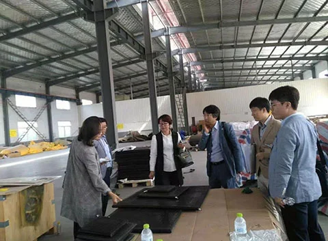 Industrial High Pressure Lifting Cushions
